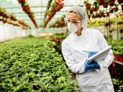 Sicurezza alimentare e prevenzione: il ruolo dei controlli nelle filiere agroalimentari